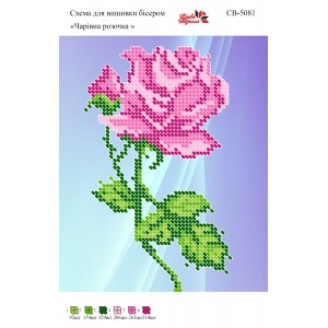 СВ 5081 Чарівна троянда