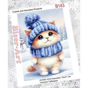 B143  Зимовий котик