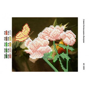 БС 5001 Квіти і метелик