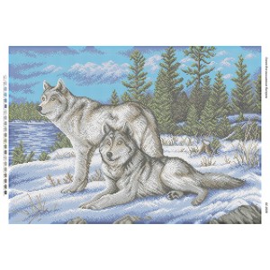 БС 2028 Вовки на снігу