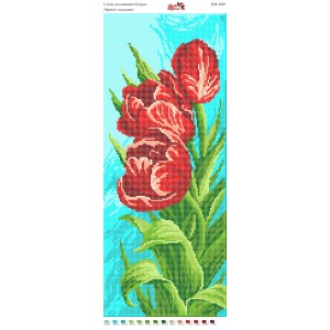 ПМ 4020 Червоні тюльпани
