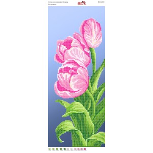 ПМ 4021 Рожеві тюльпани