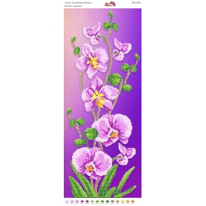 ПМ 4054 Квітуча орхідея