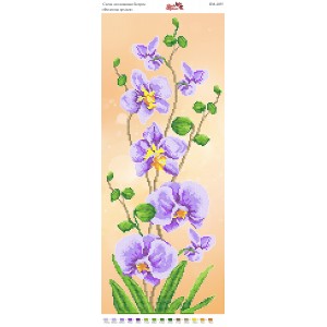 ПМ 4055 Фіолетова орхідея
