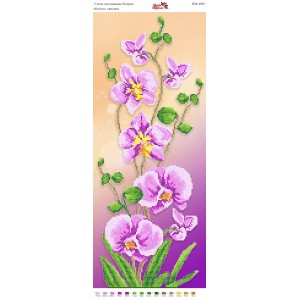 ПМ 4056 Квітуча орхідея