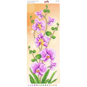 ПМ 4057 Квітуча орхідея