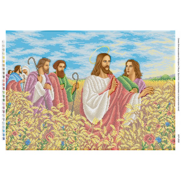 БСР 2058 Ісус Христос з апостолами в пшеничному полі