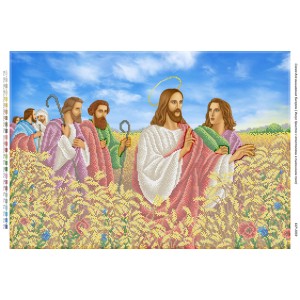 БСР 2059 Ісус Христос з апостолами в пшеничному полі