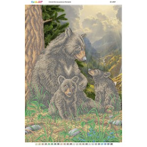 БС 2097 Сім'я ведмедів у лісі