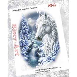 А843 Кінь взимку